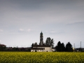 Primavera!